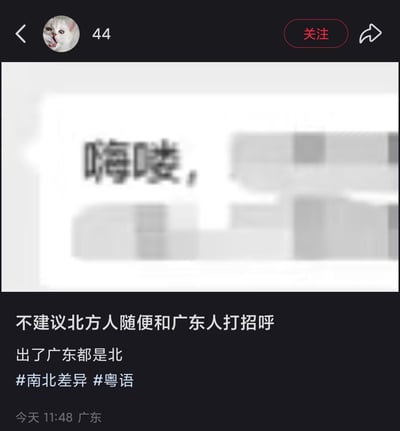 这是一张竖版的社交媒体帖子截图，整体背景为深黑色。顶部导航区域从左到右依次是返回箭头、圆形用户头像（头像内容为张嘴吐舌的白色猫咪）、用户标识数字“44”，右上角为红色“关注”按钮和分享图标。中间内容区为浅白色背景，仅露出开头文字“嗨喽，”，其余正文内容全部被模糊打码处理。下方黑色区域是帖子配文，内容为“不建议北方人随便和广东人打招呼 出了广东都是北”，附带话题标签“#南北差异 #粤语”，最底部标注发布信息为“今天 11:48 广东”。内容属于网络趣味玩梗：一方面玩广东人的地域认知梗，多数广东人日常认知里，出了广东省的地区都属于北方；另一方面“嗨喽”谐音粤语中的不文明称呼，因此衍生出这个玩梗说法。
