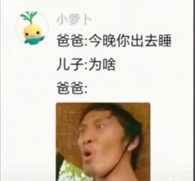 一张搞笑的聊天对话梗图，上方是用户名为“小萝卜”的聊天界面，显示了一段父子对话：爸爸说“今晚你出去睡”，儿子问“为啥”，爸爸的回复位置则配上了一张男子震惊大喊的表情图，通过夸张的面部表情暗示了爸爸让儿子出去睡的原因，形成幽默效果。
