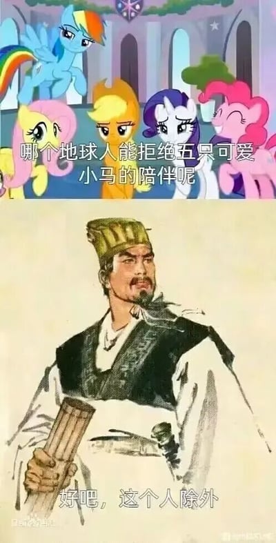 这是一张竖版的上下对比拼接梗图，上半部分呈现了美国动画《小马宝莉》中的五只经典小马角色：云宝、柔柔、苹果嘉儿、珍奇、碧琪，它们造型可爱，神态各异，配文“哪个地球人能拒绝五只可爱小马的陪伴呢”，传递出这类可爱角色广受喜爱的普遍认知；下半部分是中国古典名著《三国演义》中诸葛亮的画像，他手持书卷，神情严肃，配文“好吧，这个人除外”。图中的笑点来自谐音梗，结合诸葛亮挥泪斩马谡的典故，“马谡”的“谡”与“马”形成关联，暗指诸葛亮因马谡的缘故对“马”有特殊态度，从而成为拒绝小马陪伴的例外，通过跨IP的结合和反差感制造出搞笑的调侃效果。