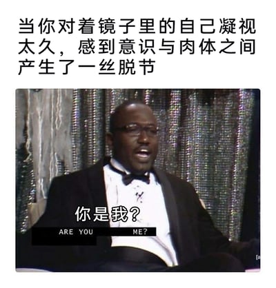 这是一张趣味梗图，上方配有文字“当你对着镜子里的自己凝视太久，感到意识与肉体之间产生了一丝脱节”，引出场景；下方是一张国外访谈节目的截图，图中黑人男性身着黑色礼服搭配白色衬衫与领结，表情惊讶疑惑，嘴巴大张，画面配有中英文对照字幕“你是我？/ARE YOU ME?”，生动夸张地表现出长时间凝视镜子后，自我认知出现动摇、怀疑镜中身影是否为自身的荒诞又真实的心理状态，用极具反差感的表情和台词放大了日常中偶尔会浮现的微妙心理，充满搞笑效果。