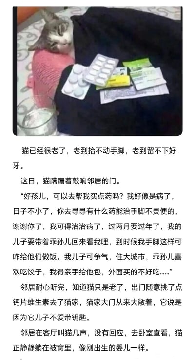 这是一张顶配底文图，上方是一只年迈的猫咪，穿着粉色针织衣服，虚弱地窝在床边，身旁摆放着多板药片和一杯水，看起来状态不佳；下方是一段完整的文字故事，讲述这只老猫因年事已高，手脚不灵便，却一心期盼着过年时儿子和孙儿归来，想要亲手给孙儿包饺子，于是拜托邻居帮忙买治手脚的药，邻居明白它只是衰老，便买了钙片和维生素前往猫家，却发现老猫已经安静离世的催泪内容。整个内容将猫咪拟人化，映射出空巢老人对儿孙的牵挂与思念，充满温情又令人心酸。
