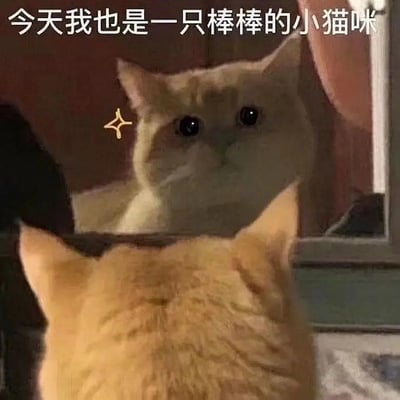 一只卡其色的猫咪对着镜子凝视自己，镜中猫咪的表情略带呆萌和深情，上方配字“今天我也是一只棒棒的小猫咪”。整个场面充满了自我激励和萌感。画面幽默治愈，有点像自我暗示和正能量的梗图，非常适合用来安慰自己或朋友。没有明显的双关、谐音或暗示。