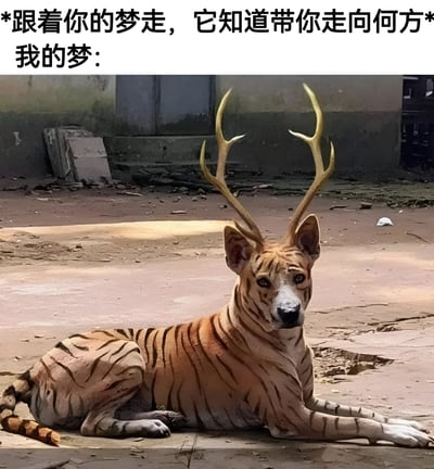 图片上方配有励志文字“跟着你的梦走，它知道带你走向何方”，下方紧接着“我的梦：”并配上一张奇特的杂交动物图片。该动物有着老虎的条纹、鹿的金色鹿角和类似狗的面部特征，正趴在一片破旧、布满碎石的地面上，背景是斑驳的墙壁和杂物，通过励志文字与荒诞图像的强烈反差，营造出幽默搞笑的效果，调侃现实中梦想与想象的差距。