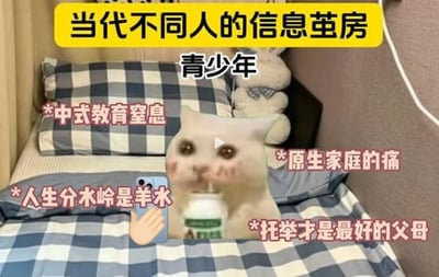 图片展示了一间卧室场景，床上铺着蓝白格子床单，床头有一个白色毛绒兔子玩具。画面中央是一张被编辑过的猫脸图像，猫咪眼神无奈，手持手机和牛奶盒。顶部黄色横幅写有“当代不同人的信息茧房”，猫脸上方标注“青少年”字样。猫脸周围分布着粉色文字注解：“中式教育窒息”“原生家庭的痛”“人生分水岭是羊水”“托举才是最好的父母”，通过幽默夸张的方式讽刺青少年可能面临的信息茧房现象，聚焦教育压力与家庭议题。