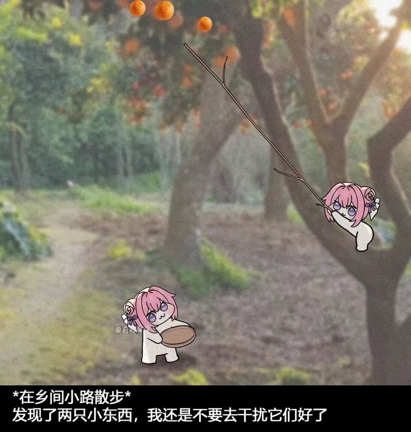Doro在果园摘橘子