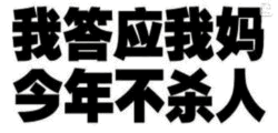 我答应我妈今年不杀人