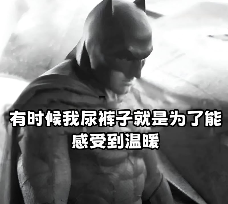 蝙蝠侠系列