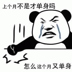 图片中是一个经典的卡通熊猫头形象，它眉头紧锁，双眼含泪，表情愤怒又困惑，右手握拳似乎在表达激动的情绪。图片上方配有文字“上个月不是才单身吗”，下方配有文字“怎么这个月又单身”，整体通过夸张的表情和幽默的文字，调侃了快速恢复单身的无奈与困惑，充满自嘲和搞笑的意味。