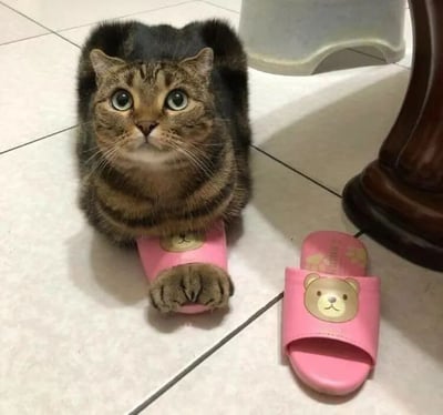 一只虎斑猫正坐在白色瓷砖地板上，前爪穿着一只粉色的拖鞋，另一只同款拖鞋放在旁边。猫咪有着圆圆的大眼睛，眼神中充满了惊讶和无辜，耳朵竖起，胡须清晰可见。背景中能看到部分木质家具腿和一个白色容器。这张照片捕捉到了猫咪可爱又滑稽的瞬间，让人忍不住会心一笑。