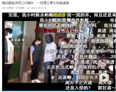 这是海客新闻发布的一段新闻视频截图，顶部标题显示“路边撒盐杀死三只蜗牛，一位理工博士生被逮捕”，同时标注了该视频的播放量为206.7万、弹幕数6188条以及发布时间2021-08-18 16:53:16。画面中可见几位站立的人员，其中一人头部被遮挡，其余人员佩戴口罩。整个画面被大量网友弹幕覆盖，弹幕内容多为对该事件的吐槽与调侃，比如网友提及自己小时候杀死蚂蚁窝、用鞭炮炸蚂蚁的经历，质疑该事件处理过重，还有网友调侃自己可能也要被追责，甚至有正在吃法式蜗牛的网友表示慌张，整体反映出网友普遍认为该事件的处理方式过于夸张，引发了广泛的讨论。