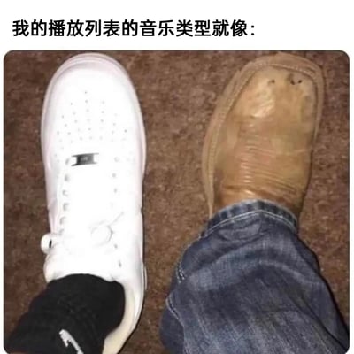 这是一张用来调侃个人音乐播放列表风格极度割裂的网络梗图。图中展示了两只风格完全对立的鞋：一只崭新干净的白色运动鞋，代表着流行、清新、年轻化的现代音乐风格；另一只则是老旧皱巴、看起来充满年代感的棕色皮鞋，代表着复古、成熟、经典的老派音乐风格。通过这种强烈的视觉反差，生动形象地表达出个人播放列表里的音乐类型跨度极大，风格完全不统一，既有符合当下审美的流行音乐，也有充满年代感的复古音乐的状态，引发有类似音乐喜好的网友共鸣。