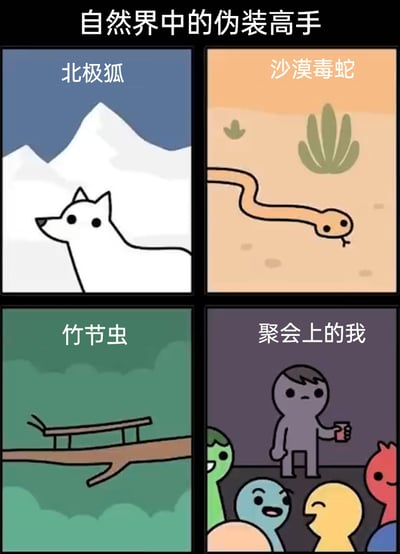 这是一幅以“自然界中的伪装高手”为主题的四格卡通趣味漫画，前三格分别展示了三种具备伪装能力的生物：第一格中白色的北极狐与雪山背景融为一体，利用体色进行环境伪装；第二格中土黄色的沙漠毒蛇和沙漠环境颜色接近，实现环境拟态；第三格中的竹节虫伪装成树枝的形态，趴在真实树枝上。第四格则是反差式的搞笑内容，标注为“聚会上的我”的灰色小人，表情低落、手持杯子独自站立，在周围色彩鲜艳、看起来十分热闹的人群中显得格格不入，用自嘲的方式调侃社恐人群在聚会中难以融入、仿佛“伪装”自己存在的状态，将生物伪装的概念延伸到人类的社交场景，引发共鸣。