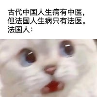 震惊猫咪