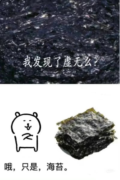 这是一张上下拼接的搞笑梗图，上半部分是海苔的特写镜头，深色且纹理细碎的海苔看起来抽象朦胧，配文“我发现了虚无么？”，营造出一种充满哲学式疑惑的氛围，仿佛在对着某种未知的抽象事物发出思考；下半部分左侧是一个画着“欠”字、表情慵懒吐着舌头、双手交叉在胸前的简笔画小熊，右侧是一叠清晰可辨的海苔成品，配文“哦，只是，海苔。”，用强烈的反差感制造笑点，瞬间把之前营造的哲学氛围感拉回日常现实，调侃了那种过度思考、将普通事物过度解读的时刻。