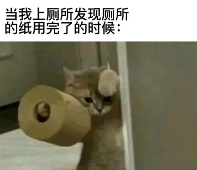 图片上方配有文字'当我上厕所发现厕所的纸用完了的时候：'，下方是一只橘猫从门缝中探出头偷看的照片，猫的前方放着一卷卫生纸。通过猫咪好奇偷看的表情和卫生纸的元素，幽默地表现了人们上厕所时发现没纸的尴尬与绝望心情，属于生活情景类搞笑梗图。