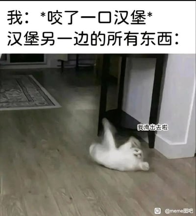 这是一张贴合日常的搞笑梗图，图中顶部分为两行文字，第一行是“我：*咬了一口汉堡*”，第二行是“汉堡另一边的所有东西：”，下方是一张真实猫咪的截图，猫咪四脚朝天躺在光滑的地板上，身体呈现出滑动的姿态，旁边配有文字气泡“我滑出去啦”。该图运用拟人的手法，将咬汉堡时，汉堡另一侧的肉饼、蔬菜、酱料等配料因受力而滑出的日常小尴尬场景，用猫咪滑倒的画面生动地表现出来，形象又有趣，能让有过类似吃汉堡经历的人产生强烈共鸣。