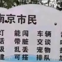 这是一块以“南京市民”为标题的竖排标语牌，将部分被调侃的不文明行为拆分为三列文字进行呈现：第一列为“灯、话、建”，第二列为“能闯、带脏、乱抛、可搭”，第三列为“车辆、交谈、宠物、排队”。通过文字的对应组合，反讽式地指代“闯红灯、说脏话、乱抛杂物、违建、车辆违规、公共场所大声交谈、宠物不规范管理、不排队”等不文明行为，用类似文明宣传标语的格式，表达对这类行为的调侃与讽刺。