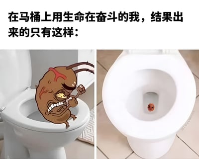 这是一张左右对比的搞笑 meme 图。左侧画面中，一个拟人化的棕色便便角色坐在白色马桶上，它眉头紧锁，眼睛瞪大呈黄色，头部有红色青筋，双拳紧握，表情愤怒又狰狞，仿佛在用尽全身力气奋斗。右侧画面则是一个干净的白色马桶，水面上漂浮着一颗极小的便便，显得微不足道。图片顶部配有文字：'在马桶上用生命在奋斗的我，结果出来的只有这样：'。通过夸张的努力表情与微小的结果形成强烈反差，幽默地描绘了人们在排便时付出巨大努力却收效甚微的无奈场景，引发共鸣。