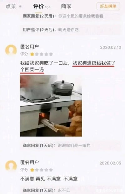 这是一张外卖平台评价页面的竖屏截图，展示了用户与商家之间多组充满趣味的互动内容。最上方是一段前置对话：商家回复“你送个脆的薯条给我看看”，用户追评“明天送你吃”；接着是2020年2月10日的匿名用户一星差评，内容为“我给我家狗吃了一口后，我家狗连夜给我做了个四菜一汤”，还搭配了一张视觉错位的金毛犬图片，金毛的位置看起来像是在灶台前“做饭”，商家则幽默回复“谢谢你们是一家的”；另外还有2020年2月5日的匿名用户一星差评，重复表述“不满意 再见 不满意 不满意”，商家直接回复“永不见”。这些内容通过夸张的差评表述和调侃式的回复，制造出搞笑的效果，是外卖评价区里的趣味互动案例。
