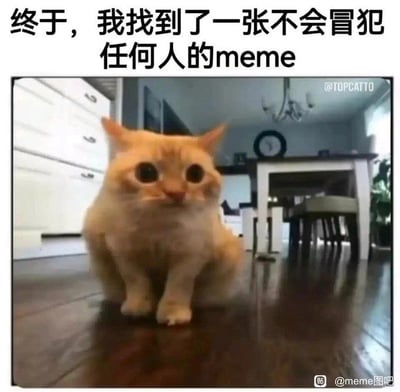 图片中是一只橘色的猫坐在木地板上，背景为室内环境，包含白色柜子、餐桌和挂钟。图片上方有文字“终于，我找到了一张不会冒犯任何人的meme”，通过展示可爱的猫咪和幽默文字，以轻松搞笑的方式表达该meme的无冒犯性特点。