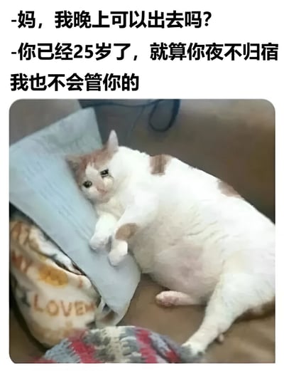 这是一张幽默梗图，上方配有对话文字："妈，我晚上可以出去吗?"和"你已经25岁了，就算你夜不归宿我也不会管你的"。图片主体是一只白色带棕色斑点的猫，它正慵懒地躺在沙发上，头靠在浅蓝色枕头上，表情显得有些冷漠和无所谓。猫的姿态和表情与母亲看似放任实则可能暗含关心的回应形成有趣对比，幽默地表现了成年子女与父母之间的微妙关系。