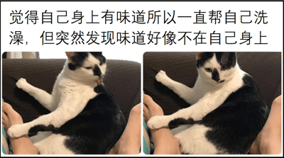 图片为左右对比的双图拼接，上方配有文字说明。左侧图中黑白猫正躺在沙发上，抬起一只前爪，专注地舔舐自己的身体，似乎在认真洗澡；右侧图中，同一只猫保持相似姿势，但停止了舔毛动作，眼神疑惑地看向旁边人的脚。配文“觉得自己身上有味道所以一直帮自己洗澡，但突然发现味道好像不在自己身上”生动地描绘了猫咪从自我清洁到意识到异味来源可能并非自身的有趣心理变化，画面充满生活趣味和幽默感。