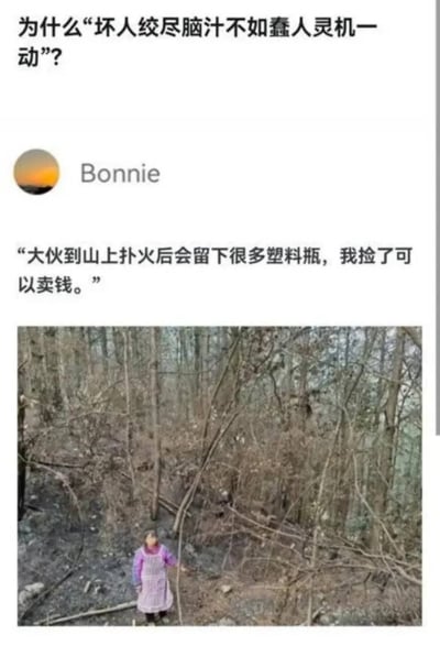 图片上方有问题"为什么'坏人绞尽脑汁不如蠢人灵机一动'?"，中间显示用户"Bonnie"的发言："大伙到山上扑火后会留下很多塑料瓶，我捡了可以卖钱。"，下方是一张照片，显示一个身穿紫色衣服的人站在被烧毁的森林中。