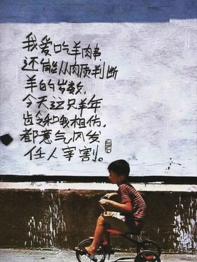 这是一幅图文结合的原创作品，画面下半部分是一张充满年代感的旧照片，照片里穿着红黑条纹短袖的小男孩骑着小自行车，神情平静地侧头看向画面左侧；画面上半部分是黑色手写文字，以“爱吃羊肉串、能判断羊的岁数”为引子，将自己与被做成羊肉串的同龄羊类比，用“都意气风发，任人宰割”的荒诞表述，以黑色幽默的方式自嘲，精准传达出在生活中身不由己、无力掌控自身处境的无奈情绪，安静的少年画面与扎心的文字形成强烈呼应，让这份无奈感更具感染力。