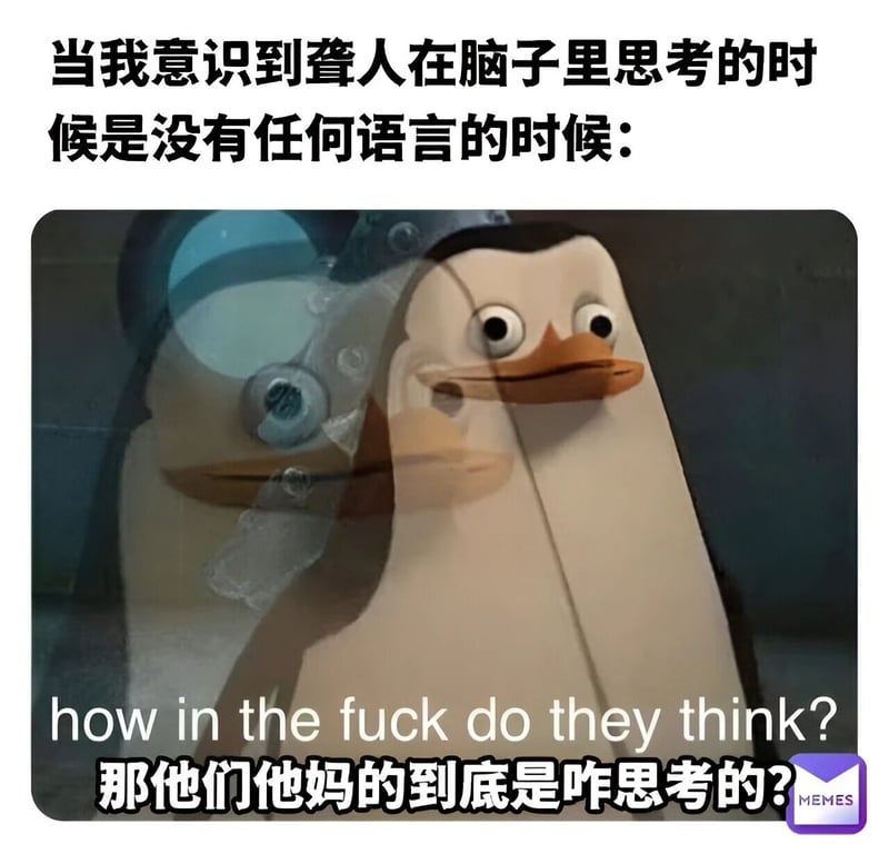 Skipper