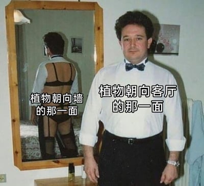 这是一张利用视觉反差创作的趣味梗图，旨在幽默地表现植物的向光性特点。画面中，现实里的人物穿着正式的白色衬衫、黑色长裤与领结，神态平静地站立在镜子旁，对应文字“植物朝向客厅的那一面”，以此类比植物朝向有光源的客厅一侧，因能接收到充足光照而外观规整、长势良好；而镜子中反射出的该人物背面，却穿着性感的黑色内衣与网袜，对应文字“植物朝向墙的那一面”，用来调侃植物朝向阴暗墙面的一侧，因缺乏光照而生长状态不佳、与向阳面形成巨大反差，通过拟人化的夸张反差，让植物向光性的特点变得生动有趣，易于理解。