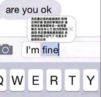 这张梗图使用了手机对话界面作为背景，展现了当别人问“are you ok”（你还好吗）时，主角内心有大量话想说，实际上非常崩溃，但最终回复却只是简单的“I’m fine”。真实想法和表面回应的巨大反差，突出当代人社交压抑、情绪难以表达的无奈和自嘲氛围，经常用于表达“嘴硬心软”或“假装坚强”的情绪。没有明显谐音梗，但内外对比极具暗示效果。