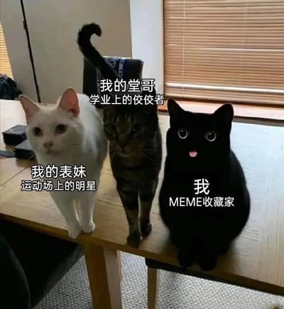 这是一张文字加注的静态单图，画面展示了三只不同品种的猫咪站在木质桌子上，从左到右依次为白色猫咪、狸花猫咪和黑色猫咪。每只猫咪都被赋予了家族成员的身份，并配有对应的文字标注：左边的白色猫咪代表“我的表妹”，标注为“运动场上的明星”；中间的狸花猫咪代表“我的堂哥”，标注为“学业上的佼佼者”；右边的黑色猫咪代表“我”，标注为“MEME收藏家”。图片通过拟人化的方式，将猫咪与家族成员的特长进行绑定，对比其他家人在学业、运动方面的优秀表现，幽默地调侃自己的特长是收藏网络梗图，展现出一种轻松自嘲的情绪，容易引发有类似“家族另类定位”经历的网友共鸣。