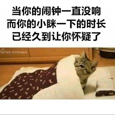 这张梗图采用图文混排的形式，上方是黑色的吐槽文字：“当你的闹钟一直没响 而你的小眯一下的时长已经久到让你怀疑了”，下方是一张真实猫咪的照片：一只猫咪躲在带有白色图案的深色被子里，只露出脑袋，眼神带着惊恐与疑惑，不安地看向外方。
这张图用猫咪的神态精准还原了人们本来只想小睡片刻，结果闹钟没响，睡了很久后突然惊醒，怀疑自己睡过了头的那种不安、恐慌的心情，非常贴合日常生活中睡过头的真实体验，没有双关、谐音梗等内容。