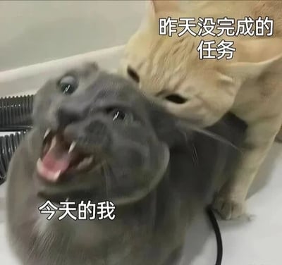 图片中一只灰色猫咪张大嘴巴、露出尖牙，眼神惊恐地瞪视前方，身上标注“今天的我”；另一只米色猫咪则从后方淡定地贴近、压制着灰猫，头部旁标注“昨天没完成的任务”。通过猫咪生动的表情和动作对比，幽默展现了未完成任务积压到第二天时的崩溃心态，画面充满生活共鸣感。