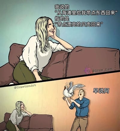 这是一幅上下分栏的卡通连环漫画，上栏中一位金发女生撑着脸坐在沙发上，带着无奈又好笑的表情解释，自己说的“从海滩里给我带点东西回来”其实是想要漂亮的贝壳；下栏里一位男生双手举着一只扑棱翅膀的海鸥，一脸懊恼地大喊“早说阿”，女生则在一旁笑着看向他。漫画通过情侣间对“海滩的东西”的理解错位制造出搞笑效果，男生将需求误解为带回海滩的生物，和女生想要贝壳的真实期待形成反差，充满生活化的趣味。