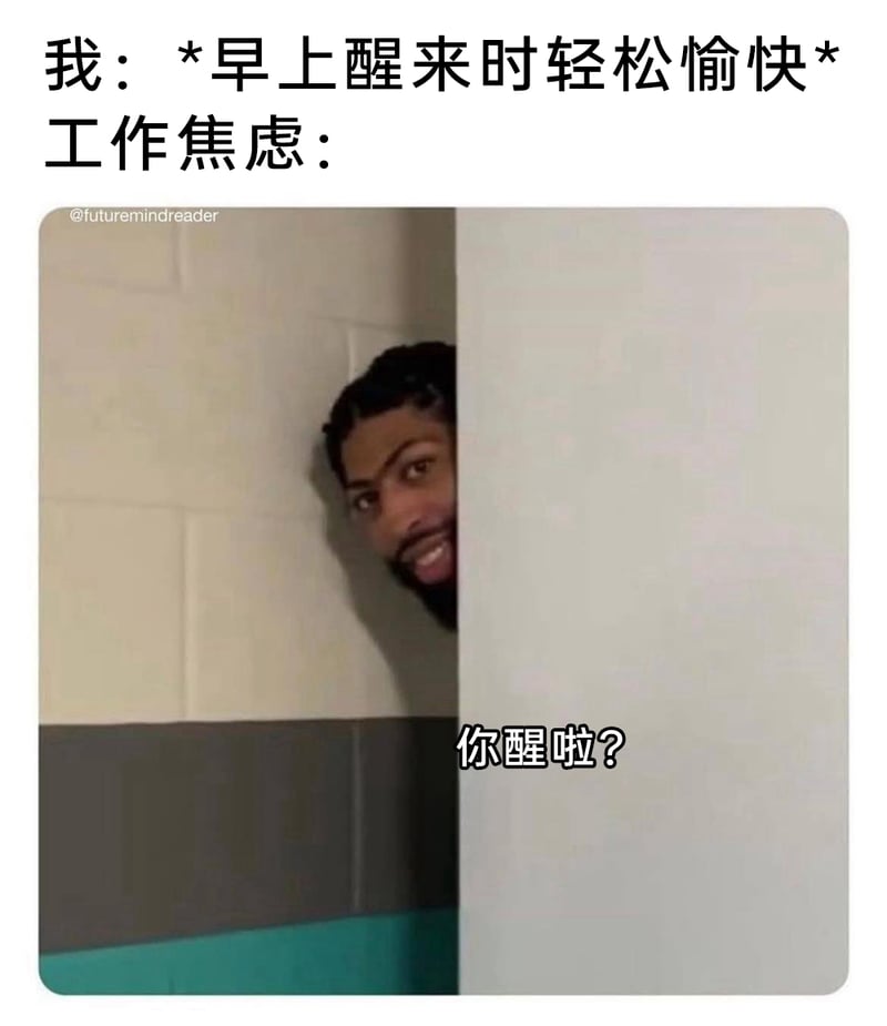 真实人物（NBA职业篮球运动员）