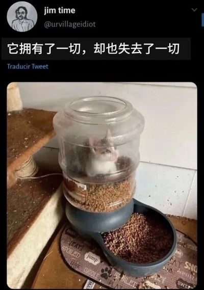 这张图片是Twitter用户@urvillageidiot发布的一张搞笑照片，内容是一只白色小猫被困在了装满猫粮的自动喂食器中。图片上方配有文字"它拥有了一切，却也失去了一切"，形成一种幽默的讽刺效果 - 小猫虽然身处猫粮的包围中(拥有了一切)，却失去了自由(失去了一切)。照片展示了一个透明的圆柱形自动喂食器，底部连接着一个装满猫粮的碗，小猫坐在喂食器内部，表情平静地望向一侧。