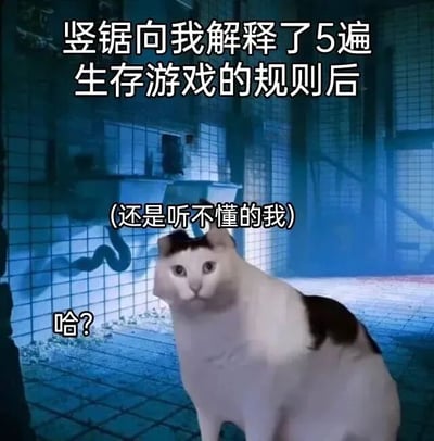 图片背景为《电锯惊魂》(Saw)系列电影中典型的昏暗瓷砖密室场景，带有蓝色冷色调。前景是一只黑白相间的猫咪，表情呆滞困惑。图片上方文字为‘竖锯向我解释了5遍生存游戏的规则后’，中间括号内文字‘(还是听不懂的我)’，底部猫咪下方配文‘哈?’。通过将恐怖电影中的严肃规则解释场景与猫咪的呆萌反应结合，形成强烈反差萌，幽默地表达了‘即使被反复解释仍无法理解’的日常困惑状态。