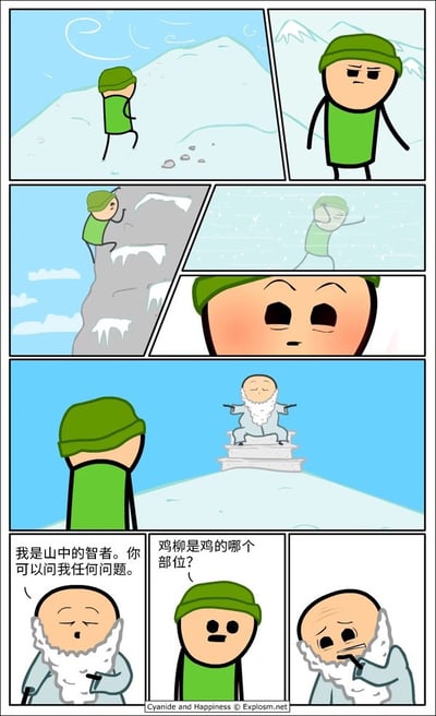 这是《氰化欢乐秀》系列的多格连环搞笑漫画，前半部分展示穿绿色衣裤戴绿帽的火柴人男子历经长途跋涉、攀爬冰雪悬崖、顶着暴雪，终于登上雪山山顶见到了端坐在石台上的白胡子智者。智者自称是山中智者，可以回答任何问题，大众预期中男子会询问人生哲理等深刻问题，结果他反而开口问“鸡柳是鸡的哪个部位？”，这一偏门又无营养的问题直接让智者表情失控，陷入错愕无语的状态，靠打破常规预期的反差感制造笑点。