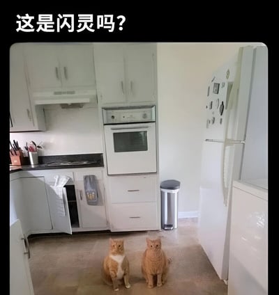 图片展示了一个厨房场景，白色橱柜、烤箱和带有磁铁的冰箱构成背景，两只橘猫端正地并排坐在厨房地板上，直视镜头。图片顶部有白色文字“这是闪灵吗？”，调侃猫咪的坐姿与电影《闪灵》中的经典双胞胎场景相似，营造出幽默的对比效果。