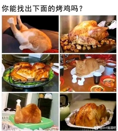 这是一张由六张图片拼接而成的趣味互动图，顶部配有提问文字“你能找出下面的烤鸡吗？”。图中巧妙混入了3只橘猫，它们利用自身橘黄色的毛色，通过趴在餐盘、垫子上的姿势，再搭配仿真的鸡肢体道具，伪装成烤鸡的样子；另外3张图则是真正的烤鸡：右上角的烤鸡放置在烤盘里，周围搭配着烤土豆；左中部的烤鸡架在烤架上，底部垫有生菜；右下角的烤鸡放在锡箔烤盘中。整张图通过猫咪的逼真伪装制造视觉趣味，让观看者分辨真假烤鸡，具有很强的娱乐性。