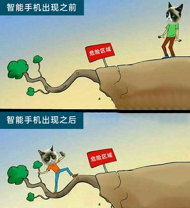 暴躁猫（Grumpy Cat）网络IP