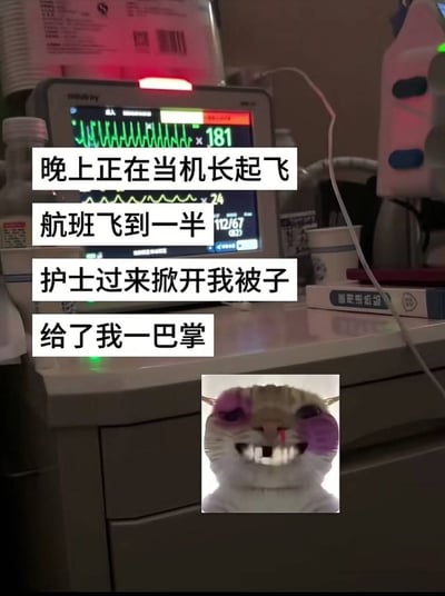 图片展示了医院病房场景，中心是一台显示心率181的监护仪。上方叠加四行文字讲述一个故事："晚上正在当机长起飞，航班飞到一半，护士过来掀开我被子，给了我一巴掌"。图片底部中央有一个小插图，是一只化着紫色眼妆、露出牙齿的啮齿动物表情包，形成幽默对比。