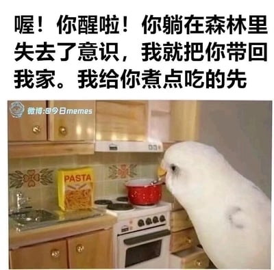 这是一张充满反差萌的趣味梗图，图片上方配有一段模拟救助者的叙事文字：“喔！你醒啦！你躺在森林里失去了意识，我就把你带回我家。我给你煮点吃的先”；图片主体是一只白色的鹦鹉，正站在一套制作逼真的迷你厨房模型前，用喙握着器具在炉灶上的红色小锅前进行操作，厨房台面上还摆放着一盒印有“PASTA”字样的意面包装。整幅图将普通的宠物鹦鹉与拟人化的救助场景结合，用迷你场景放大了鹦鹉的“人类行为”，搭配经典的“获救苏醒”的剧情文字，制造出荒诞又搞笑的幽默效果，让原本普通的宠物照片变得充满故事感和趣味性。