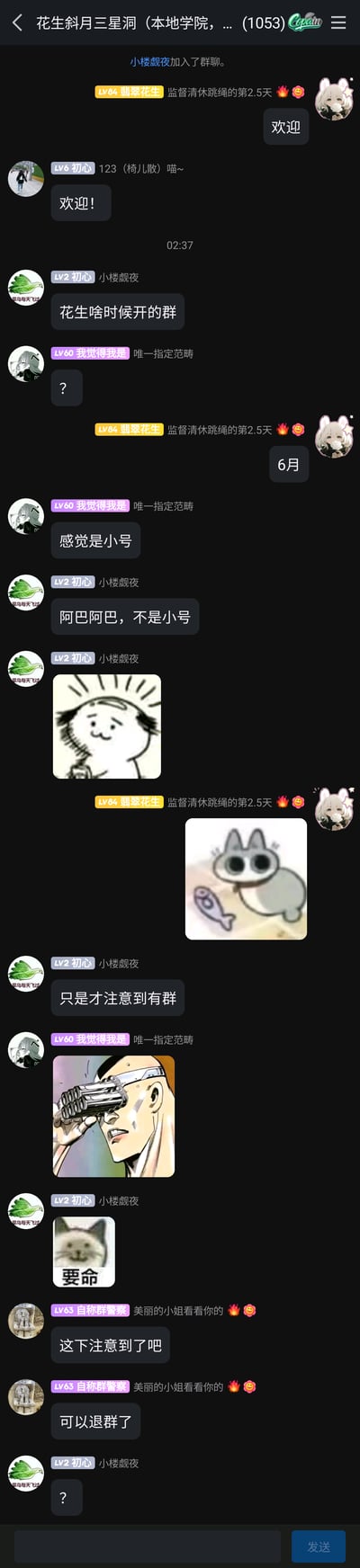 这是一张QQ群聊的截图，群名为“花生斜月三星洞（本地学院，...(1053)”，新成员“小楼觑夜”加入群聊后，群成员“翡翠花生”“初心”等纷纷发送消息和表情包表示欢迎，随后小楼觑夜询问群主“花生”的建群时间，成员“我觉得我是”质疑其是小号，小楼觑夜否认并解释只是刚注意到这个群，过程中大家发送了多个网络流行表情包，包括带光环的小人、猫盯鱼、多管望远镜、“要命”猫咪等，最后成员“自称群警察”发言，小楼觑夜发出疑惑的问号，整体是轻松随意的群聊日常互动氛围。
