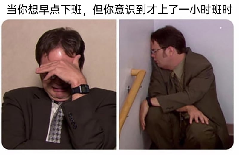 德怀特·施鲁特