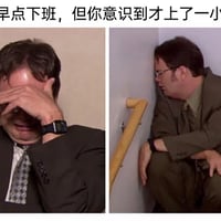 德怀特·施鲁特