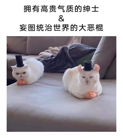 暂无描述