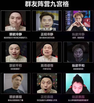 这是一张以同一个真人的不同夸张表情为素材制作的「群友阵营九宫格」梗图，将群友划分为禁欲/正经/纵欲三大类，每类下又细分冷静/平和/暴躁三种状态，每个格子都配有对应状态的搞笑文案，精准调侃了微信群聊里不同发言风格的群友特质。比如「禁欲冷静」配文「我经常因为不够淫乱而格格不入」，用反差感制造笑点；「纵欲暴躁」配文「主人草饲我草饲我草饲我❤️」，放大了谄媚讨好的夸张状态，整体风格接地气又充满戏谑感，十分贴合社群聊天的日常氛围。