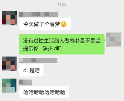 这是一张聊天记录截图，显示了几位用户的搞笑对话。时间显示为14:23，对话内容围绕“春梦”展开：一位用户提到“今天做了个春梦😐”，另一位用户幽默地调侃“没有过性生活的人做春梦是不是会提示你‘缺少dll’”，随后有人询问“dll是啥”，最后以一连串“哈哈哈哈哈哈哈哈”结束。图中使用了计算机领域的“dll”（动态链接库）概念作为比喻，将缺乏相关经验比作系统缺少必要文件，制造出反差萌的搞笑效果。